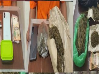 jaringan narkoba Bengkalis.