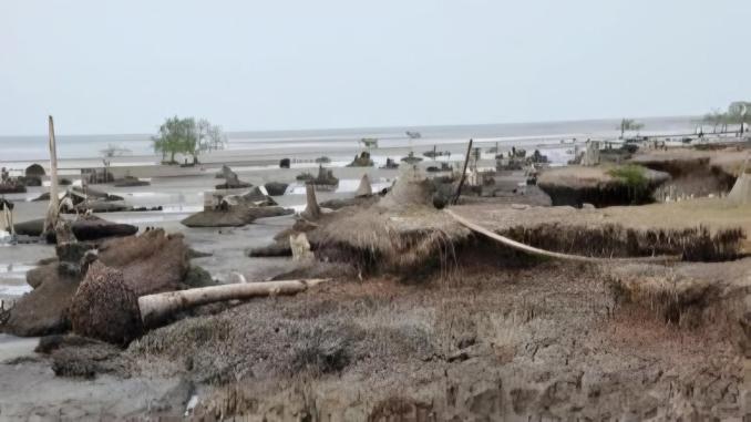 Pengaman pantai Bengkalis