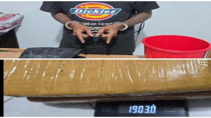 Polisi Polsek Mandau menunjukkan paket ganja kering hasil penggerebekan.