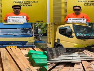 Truk bermuatan kayu ilegal diamankan polisi di Siak Kecil Bengkalis