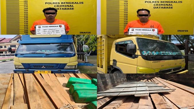 Truk bermuatan kayu ilegal diamankan polisi di Siak Kecil Bengkalis