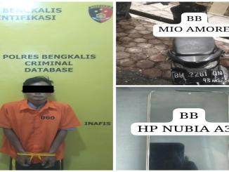 Polisi menangkap pelaku jambret ponsel anak di Bengkalis