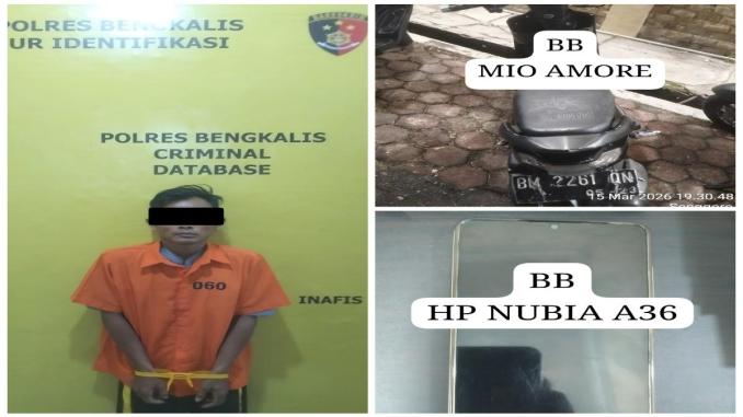 Polisi menangkap pelaku jambret ponsel anak di Bengkalis