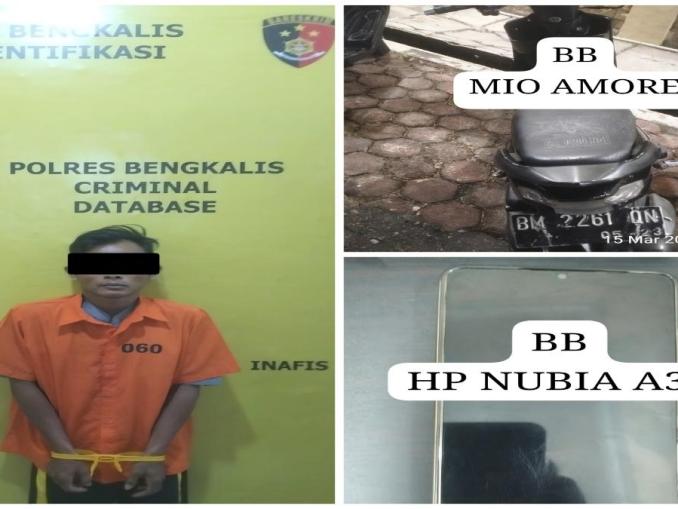 Polisi menangkap pelaku jambret ponsel anak di Bengkalis