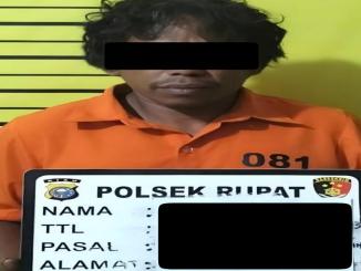 Pencurian kelapa sawit di Rupat Bengkalis