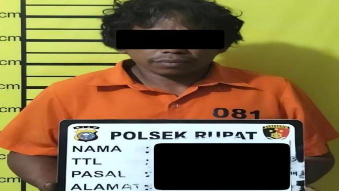 Pencurian kelapa sawit di Rupat Bengkalis