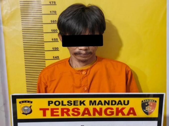 Tersangka penipuan modus janji kerja diamankan Polsek Mandau, Bengkalis.