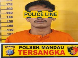 Penangkapan tersangka DPO narkoba Bathin Solapan berinisial LP oleh Tim Opsnal Polsek Mandau.