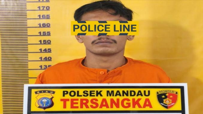 Penangkapan tersangka DPO narkoba Bathin Solapan berinisial LP oleh Tim Opsnal Polsek Mandau.