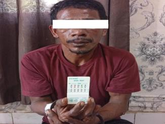 Predator anak Bengkalis