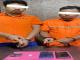 Petugas Polres Bengkalis menangkap dua pria kasus sabu di Kelapapati.