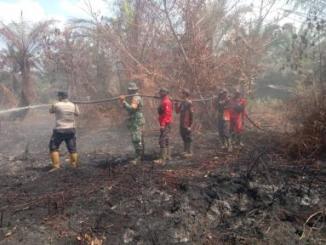 Tim gabungan menangani karhutla di Kabupaten Bengkalis.