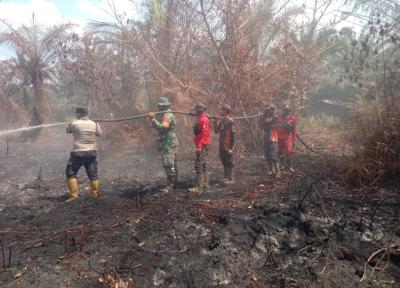 Tim gabungan menangani karhutla di Kabupaten Bengkalis.