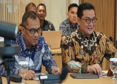 Wakil Bupati Bengkalis Bagus Santoso saat audiensi dengan Wakil Menteri Kesehatan.